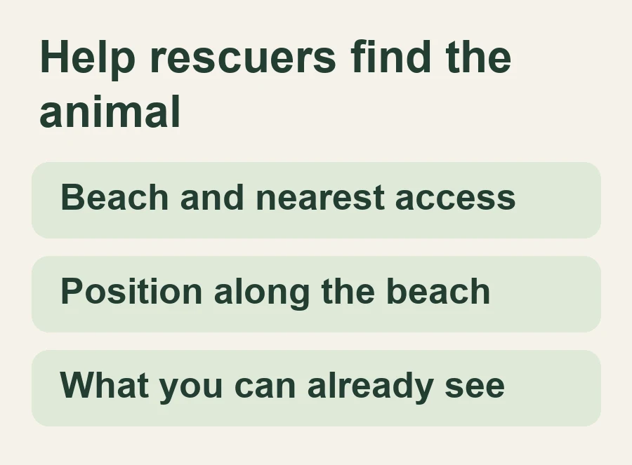 Beach and nearest access; Position along the beach; What you can already see.