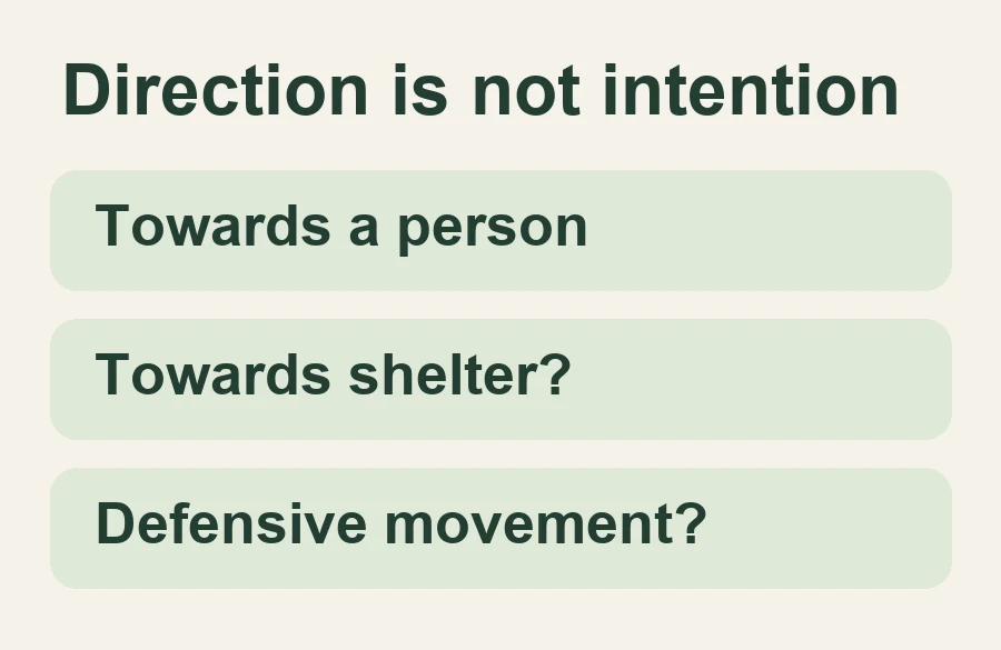 Towards a person; Towards shelter?; Defensive movement?