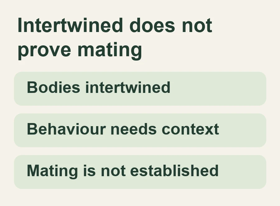 Bodies intertwined; Behaviour needs context; Mating is not established