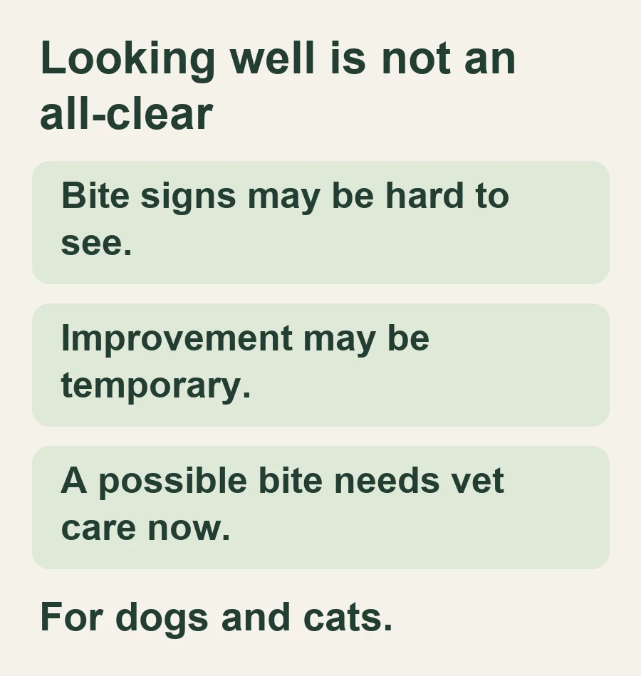 Looking well is not an all-clear. Bite signs may be hard to see.. Improvement may be temporary.. A possible bite needs vet care now.. For dogs and cats.