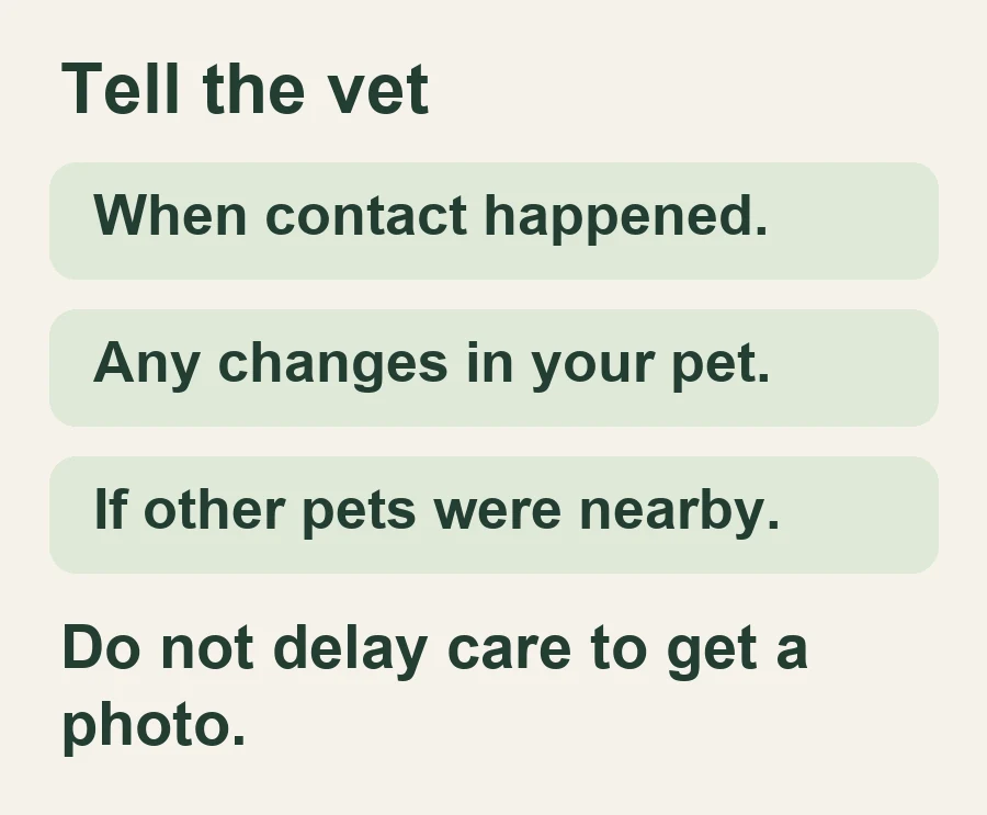 Tell the vet. When contact happened.. Any changes in your pet.. If other pets were nearby.. Do not delay care to get a photo.
