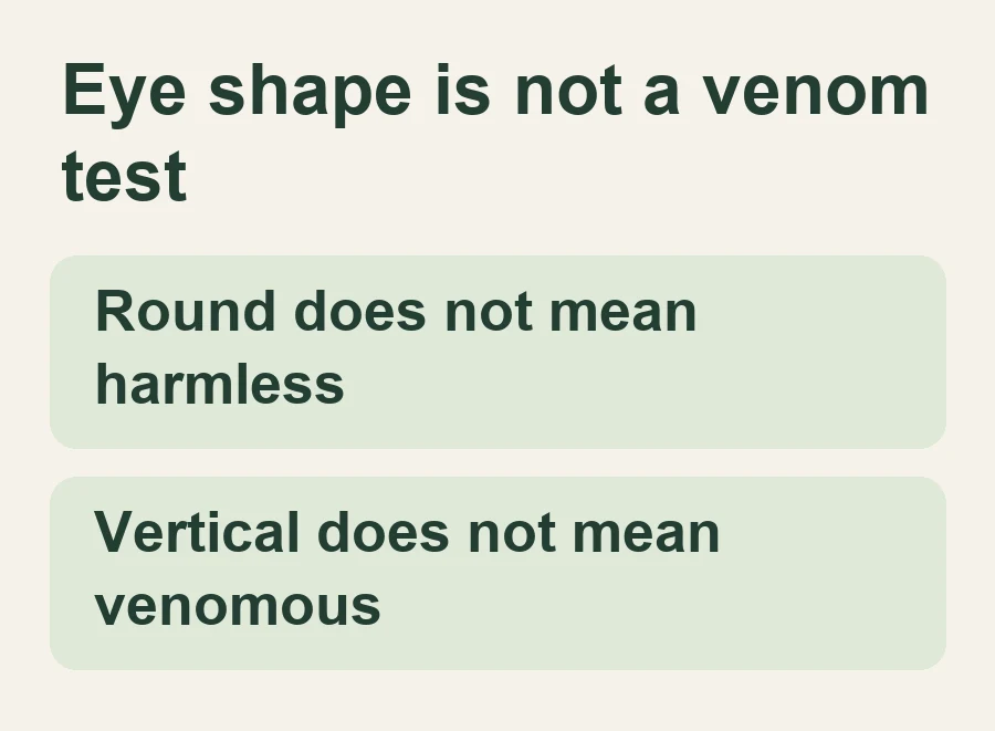 Round does not mean harmless; Vertical does not mean venomous