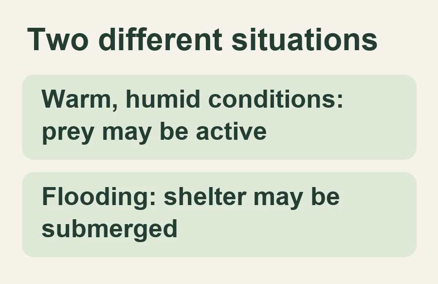 Warm, humid conditions: prey may be active; Flooding: shelter may be submerged.