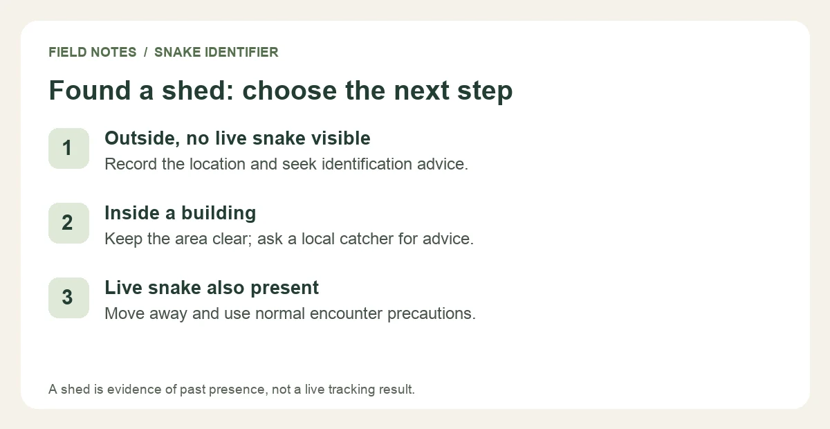 After finding a shed, record its location and seek advice without searching hidden spaces.