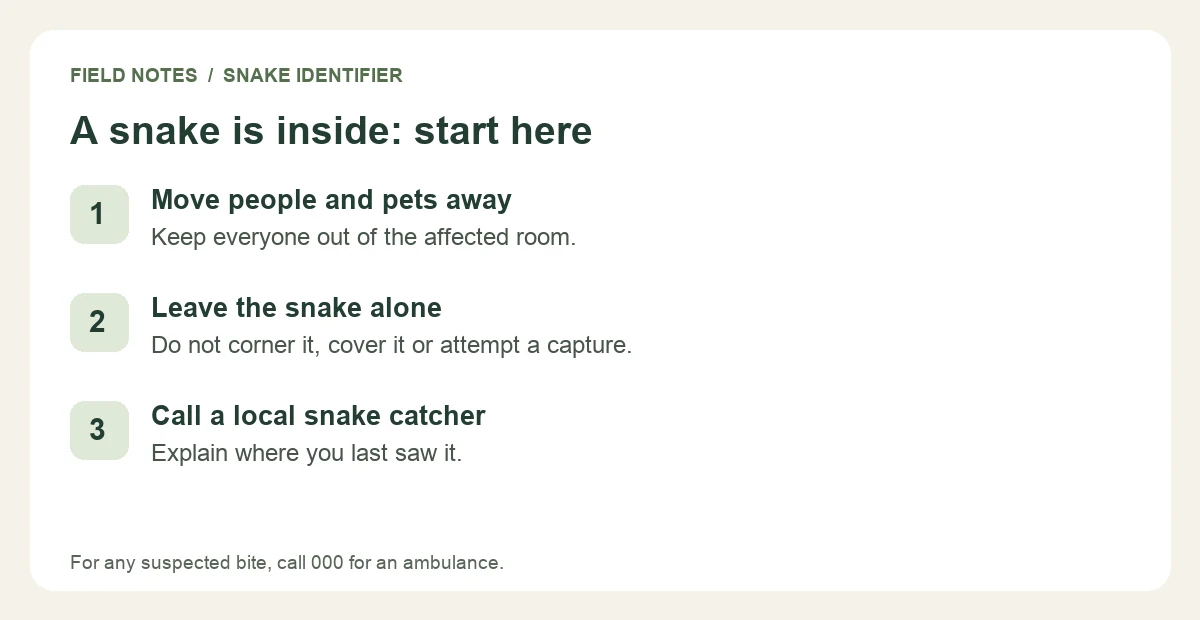 Snake indoors: move people and pets away, leave it alone and call a local snake catcher.