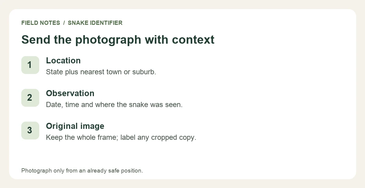 Include location, date, time and the original image with a snake identification request.